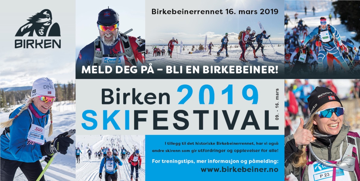 Birkenbuss 2019